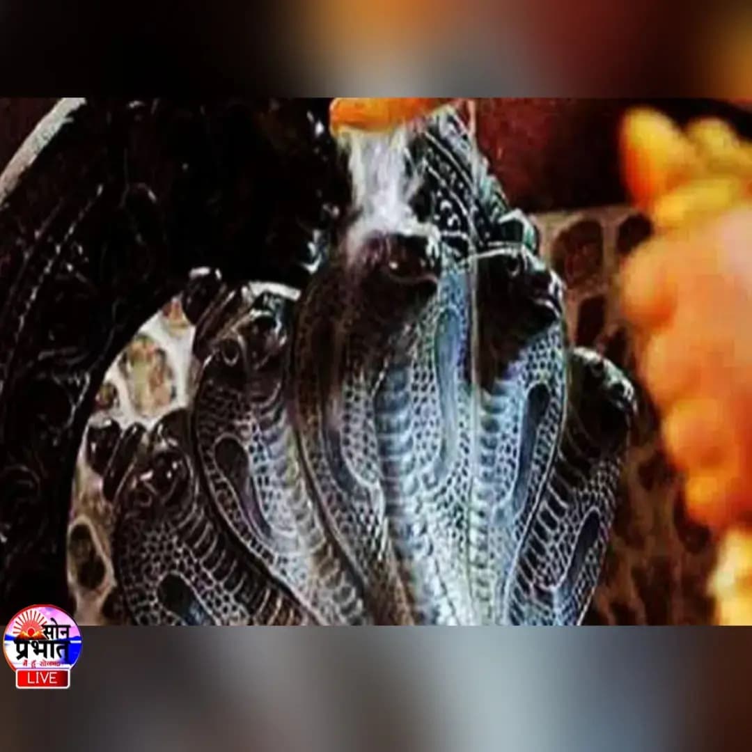 Nag Panchami 2021 - नाग पंचमी में क्या कुछ है खास, कैसे मनाते है गांवो में, सोनभद्र के कई गांव में होता है इस दिन दंगल।