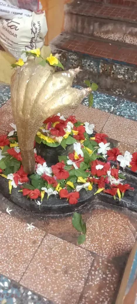 सोनभद्र: सोन नदी संगम तट गोठानी में सोन संगम आरती संपन्न।