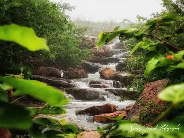 यूपी का सोनभद्र जिला को कहा जाता है स्विट्जरलैंड ऑफ इंडिया, जाने क्यों?