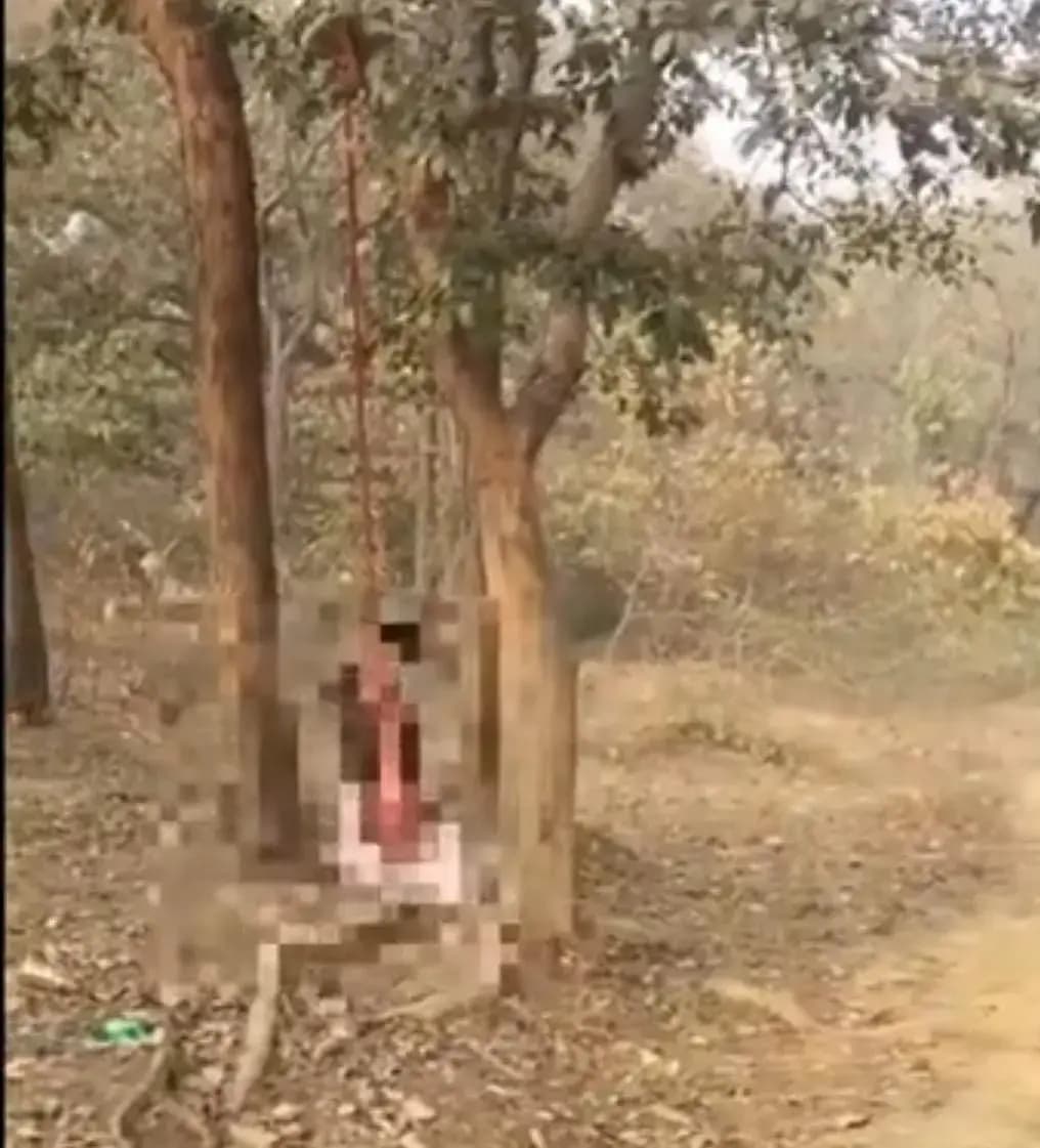 पेड़ से लटकता मिला अधेड़ महिला का शव, क्षेत्र में फैली सनसनी