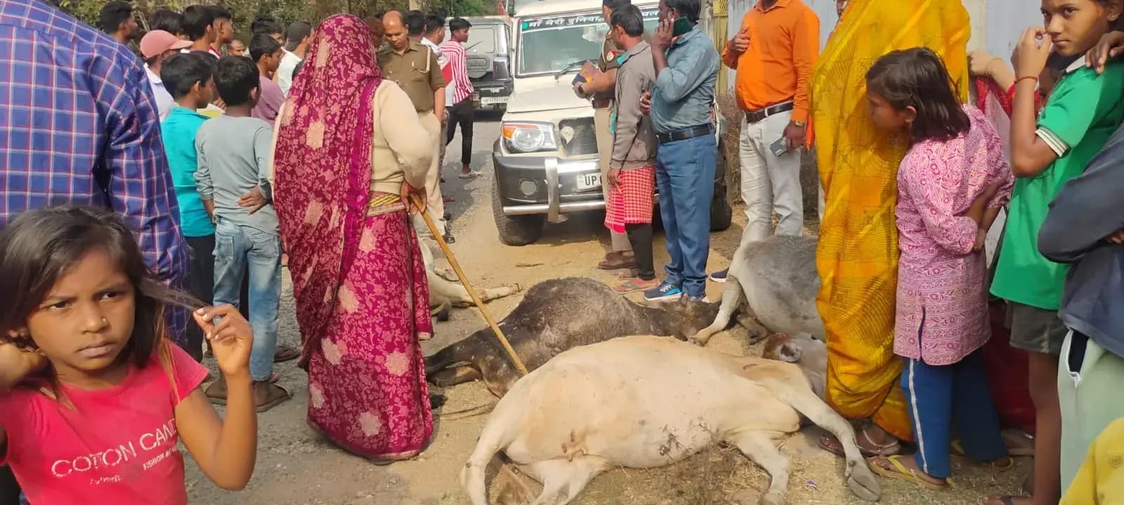बीजपुर में बोलेरो का तांडव: किशोर को मारी टक्कर, 4 गोवंश को रौंदा — 2 की मौत, चालक फरार।