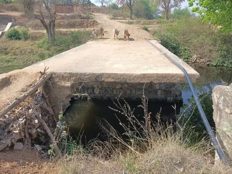 टूटी पुलिया को बनवाने ग्रामीणो ने की मांग. 