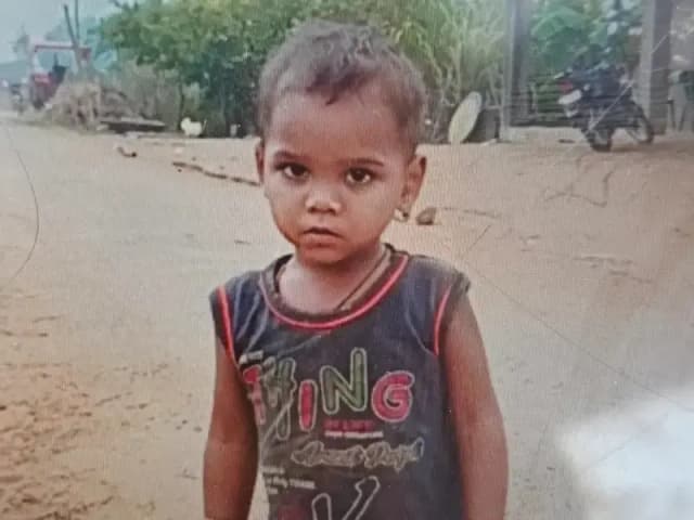 बाउली में डूबने से ढाई वर्षीय मासूम की दर्दनाक मौत, परिजनों में कोहराम