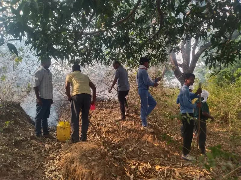गोविंदपुर : अज्ञात कारणों से लगी आग से सैकड़ों पौधे झुलसे। 