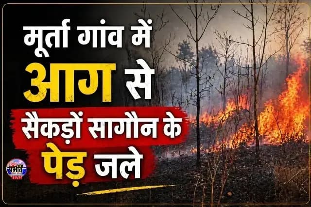 दुद्धी ब्लॉक के मूर्ता गांव में भीषण आग, सैकड़ों सागौन के पेड़ जलकर राख — लाखों का नुकसान