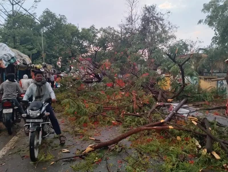 तेज आंधी-बारिश से दुद्धी में जनजीवन प्रभावित, एनएच-39 पर पेड़ गिरने से यातायात बाधित