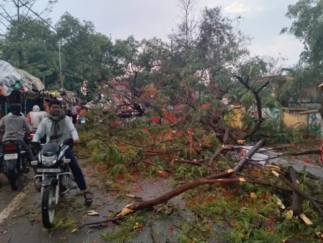 तेज आंधी-बारिश से दुद्धी में जनजीवन प्रभावित, एनएच-39 पर पेड़ गिरने से यातायात बाधित