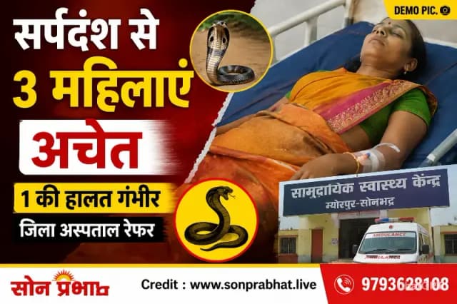 सर्पदंश की अलग-अलग घटनाओं में तीन महिलाएं अचेत, एक जिला अस्पताल रेफर