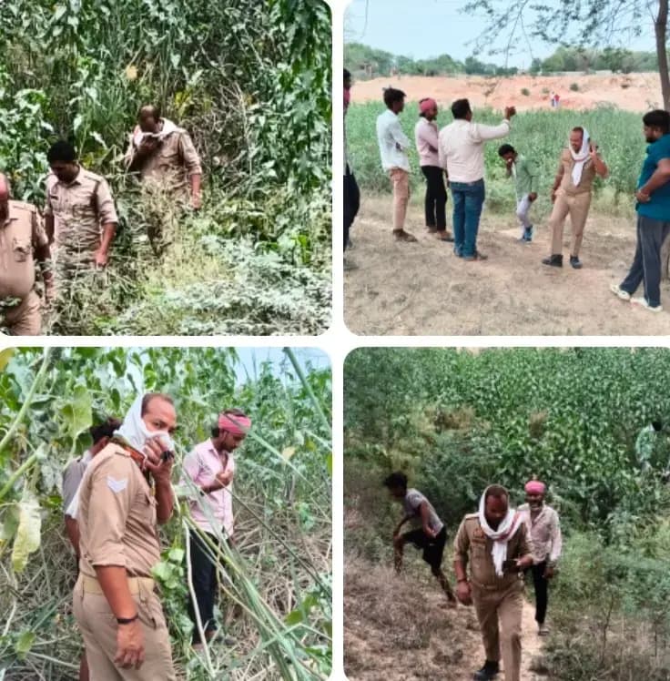 झाड़ियों में मिला नर कंकाल, क्षेत्र में फैली सनसनी; पहचान में जुटी पुलिस