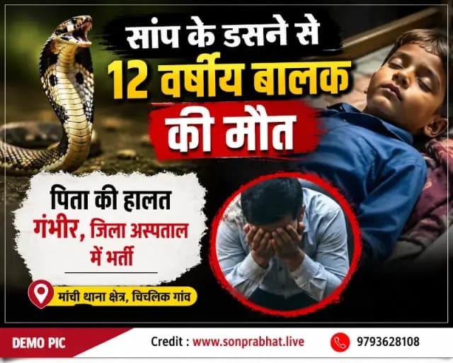 आंगन में सो रहे पिता-पुत्र को सांप ने डसा, 12 वर्षीय बालक की मौत