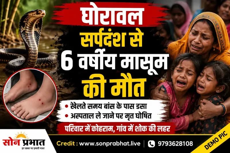 सर्पदंश से छह वर्षीय मासूम की मौत, परिवार में मचा कोहराम