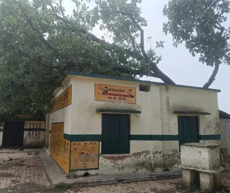 प्राथमिक विद्यालय की छत पर गिरा विशाल महुआ का पेड़, स्कूल बंद होने से टला बड़ा हादसा