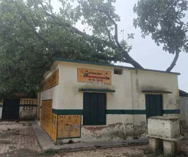 प्राथमिक विद्यालय की छत पर गिरा विशाल महुआ का पेड़, स्कूल बंद होने से टला बड़ा हादसा