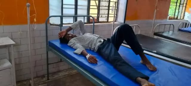 लकड़ी के ढेर के पास खड़े युवक को विषैले सर्प ने डसा, उपचार जारी 