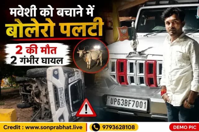 मवेशी को बचाने के प्रयास में बोलेरो पलटी, चालक समेत दो की मौत; दो गंभीर घायल 