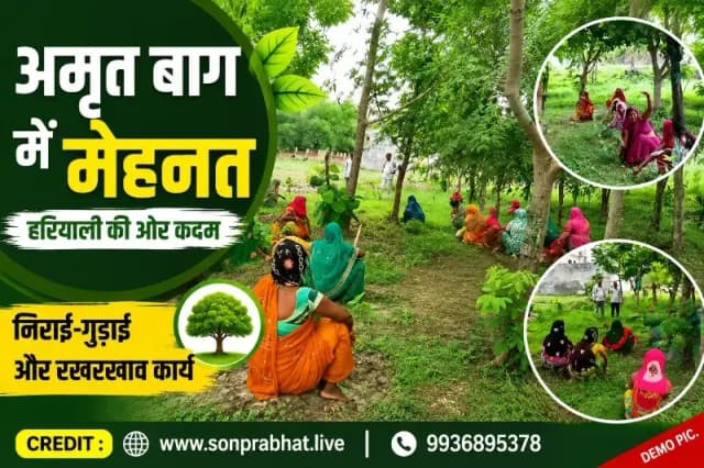 अमृत बाग में वीबी जी राम जी के तहत हुआ वृक्षों का संरक्षण, नए पौधों से बढ़ी हरियाली