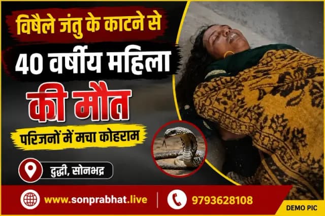 विषैले जंतु से दुद्धी में महिला और घोरावल में किशोर की मौत, दो परिवारों पर टूटा दुखों का पहाड