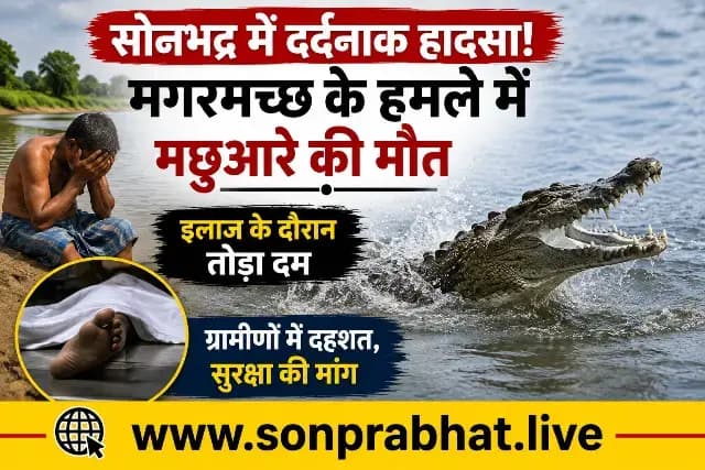 सोन नदी में मगरमच्छ के हमले के बाद घायल मछुआरे की मौत, गांव में शोक और दहशत का माहौल
