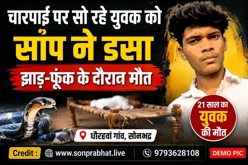 चारपाई पर सो रहे युवक को सांप ने डसा, झाड़-फूंक के दौरान मौत
