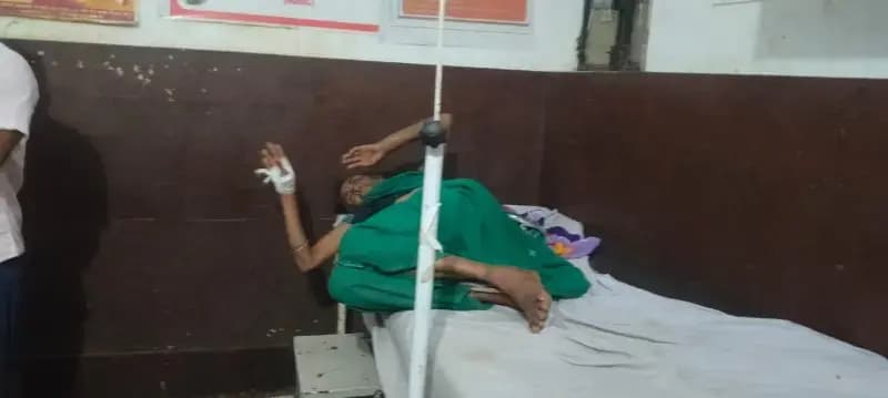 सर्पदंश से वृद्धा की हालत बिगड़ी, सामुदायिक स्वास्थ्य केंद्र दुद्धी में भर्ती