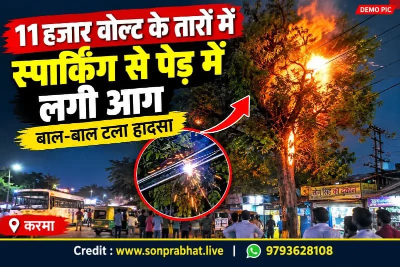 11 हजार वोल्ट के तारों में स्पार्किंग से पेड़ में लगी आग, बाल-बाल टला हादसा