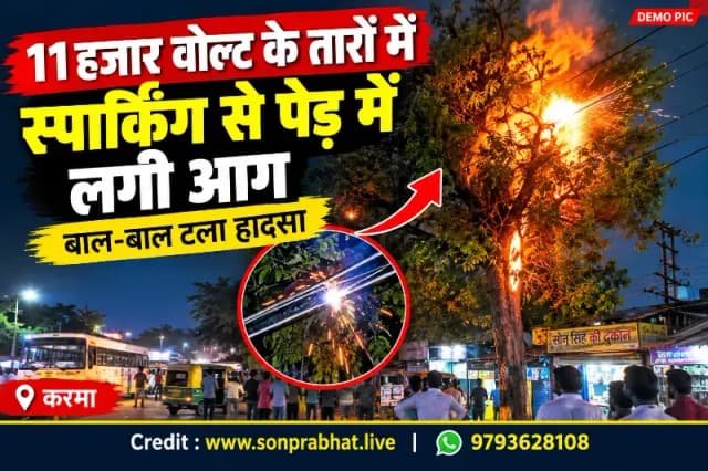 11 हजार वोल्ट के तारों में स्पार्किंग से पेड़ में लगी आग, बाल-बाल टला हादसा