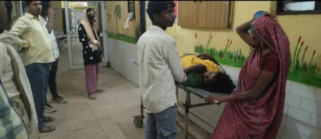 सफाई के दौरान करैत ने महिला को डसा, सीएचसी में उपचार जारी