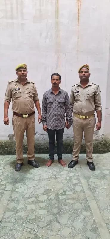 पिकअप वाहन से 11 गोवंश बरामद, एक आरोपी गिरफ्तार