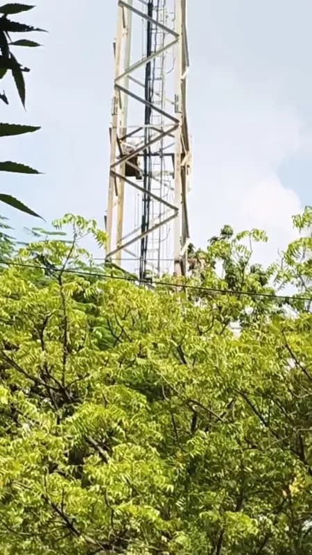 प्रेमी से शादी की जिद में BSNL टावर पर चढ़ी युवती, अनपरा में मचा हड़कंप 
