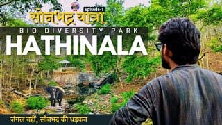 Sonbhadra Yatra Ep.1 | Hathinala Bio-Diversity Park | Hidden Natural Beauty of Sonbhadra Sonprabhat