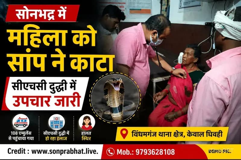 बोरा समेटते समय महिला को सांप ने डसा, सीएचसी दुद्धी में उपचार जारी