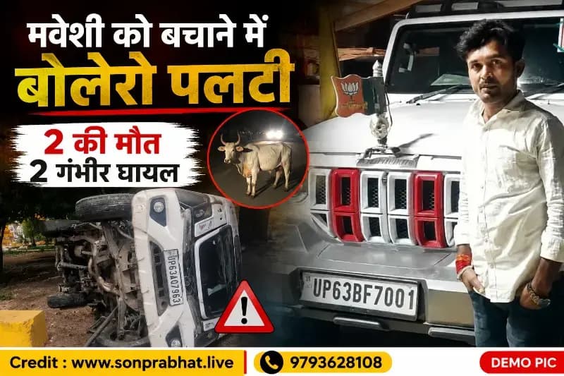 मवेशी को बचाने के प्रयास में बोलेरो पलटी, चालक समेत दो की मौत; दो गंभीर घायल