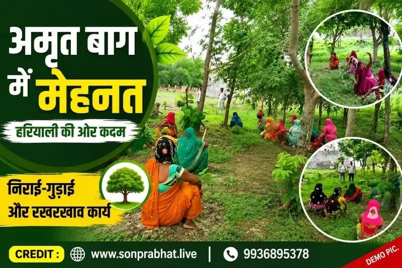 अमृत बाग में वीबी जी राम जी के तहत हुआ वृक्षों का संरक्षण, नए पौधों से बढ़ी हरियाली