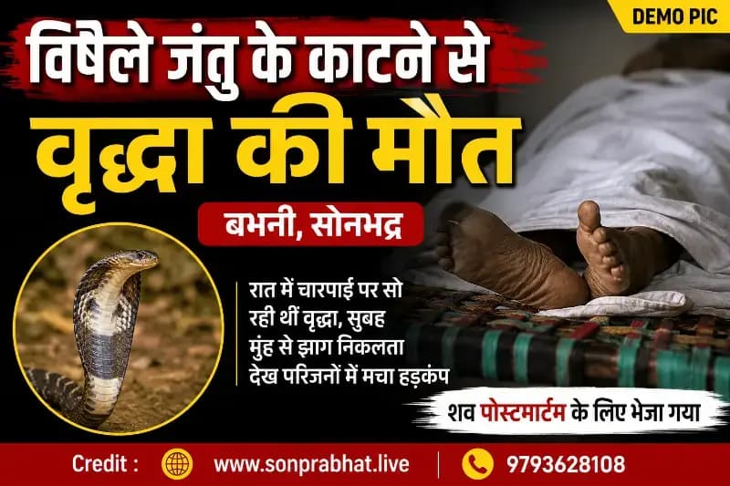 विषैले जंतु के काटने से वृद्धा की मौत