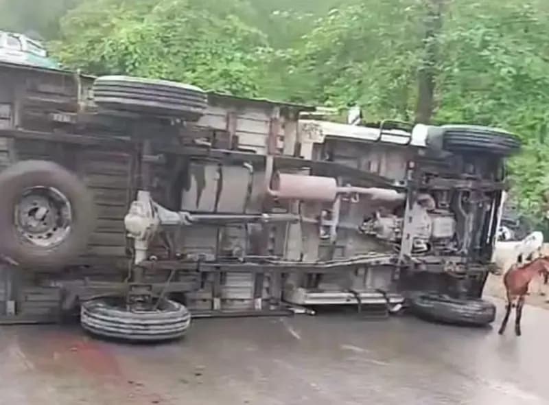 रेनुकूट मुर्धवा मोड के पास हुआ हादसा, बारिश में बकरियों से लदी पिकअप पलटी, चालक और बकरियां सुरक्षित