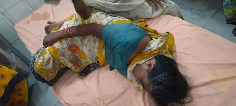 बकरी चरा रहीं महिला पर बिरनियो का हमला, बचाने आया युवक भी जद में, सीएचसी दुद्धी में भर्ती