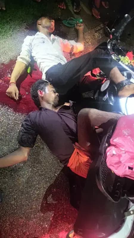 सड़क हादसा:अज्ञात वाहन की टक्कर से बाइक सवार दो युवकों की मौत, चालक फरार