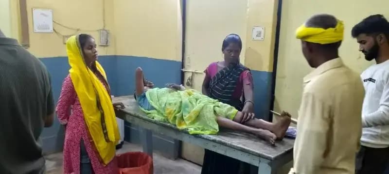 जंगली सुअर का आतंक,हमले में महिला का पैर फैक्चर