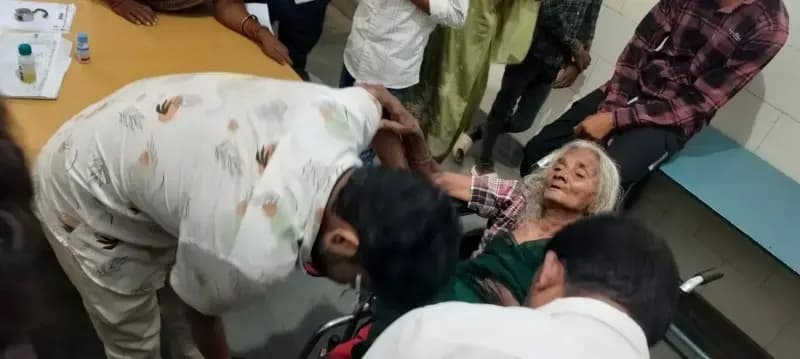 वृद्ध महिला को जहरीले सांप ने डसा, रेफर
