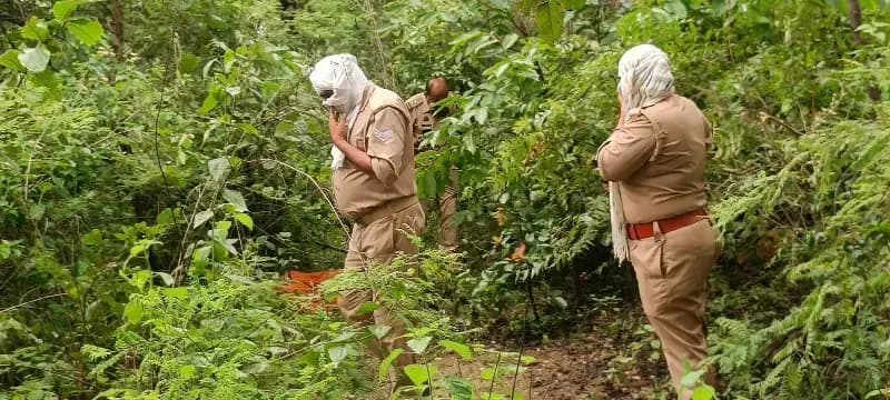 Crime news:साऊडीह जंगल में अज्ञात महिला का शव मिलने से सनसनी, जांच में जुटी पुलिस