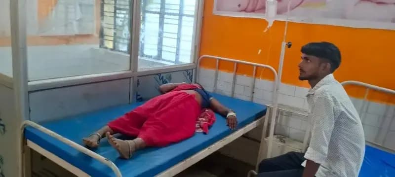 करैत सांप ने महिला को डसा,हालत गंभीर, इलाज जारी