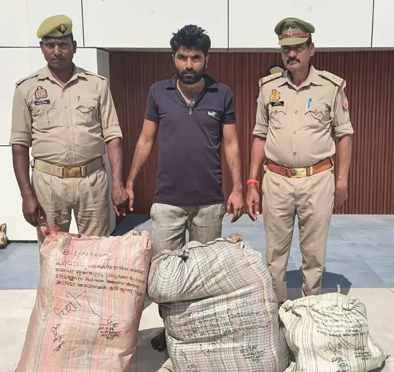 काजू के छिलकों की आड़ में गांजा तस्करी का खुलासा, 30.25 लाख का गांजा बरामद