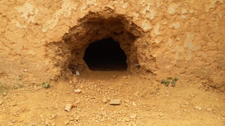 हौसला बुलंद चोरों ने सेंध लगाकर की चोरी