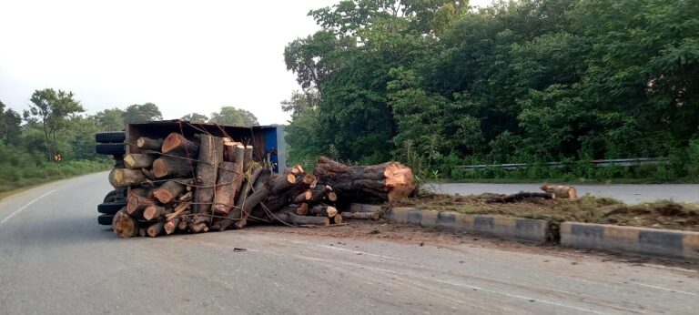 लकड़ी लदी टिपर अनियंत्रित होकर पलटी।