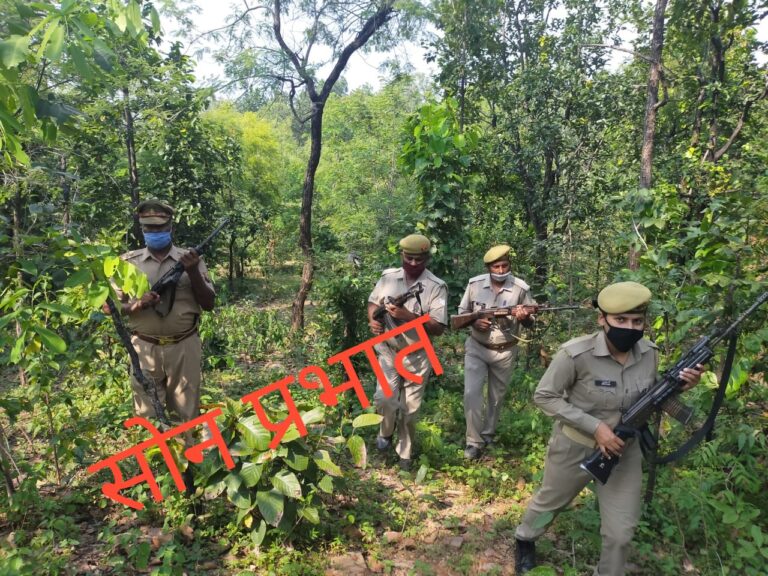 हाथीनाला थाना प्रभारी ने खोखा पगड़ेवा के जंगलों में किया काम्बिंग।