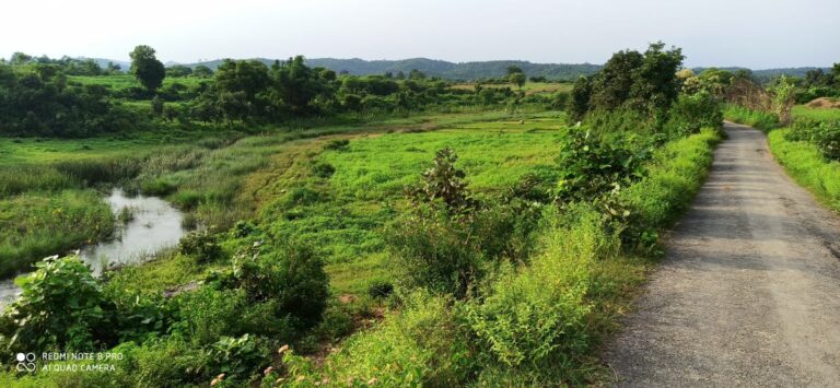 लौआ नदी के अस्तित्व पर संकट -: कैलाश कुंज द्वार के पास पत्थर व बालू उत्खनन खुलेआम।