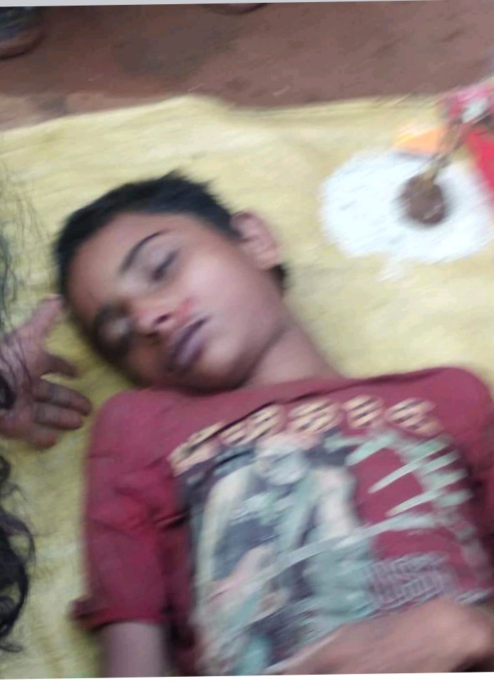 आकाशीय बिजली की चपेट में आने से एक बालक सहित चार पशु की मौत। 