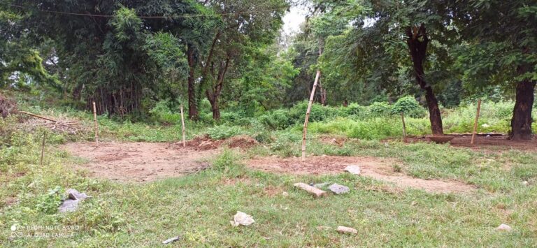 वन भूमि पर कब्जा की नीयत से फुलवारी से किया घोरान।