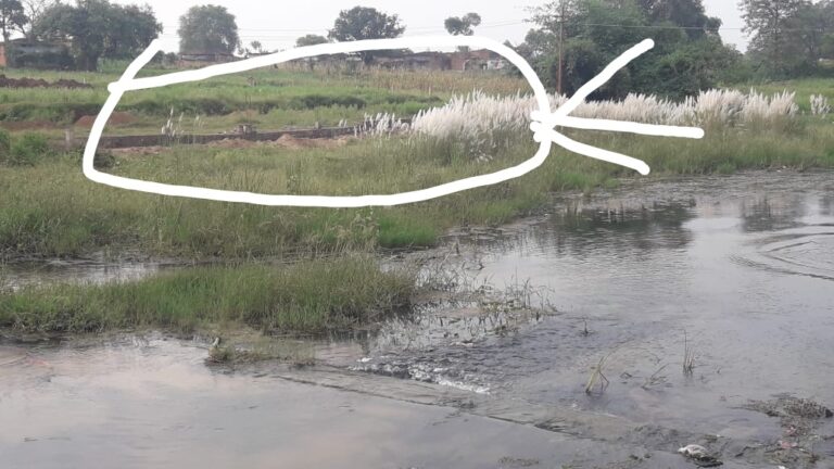 लौवा नदी पर भू माफियाओं का कब्जा, नायब तहसीलदार के निर्देश पर लेखपाल ने नदी में हो रहे निर्माण कार्य को रोका।
