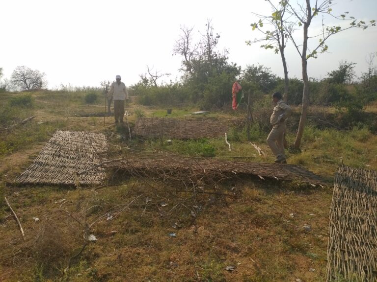 वन विभाग की जमीन पर अतिक्रमण,अवैध निर्माण पर ठोस कार्यवाही नहीं,ग्रामीणों में आक्रोश।